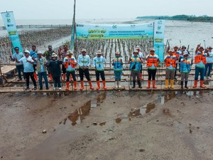 Karawang Tanam 15 Ribu Mangrove untuk Redam Abrasi
