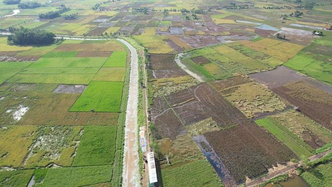 Darurat Sawah di Bali, Amran Ngaku Akan Empat Mata dengan Nusron Wahid