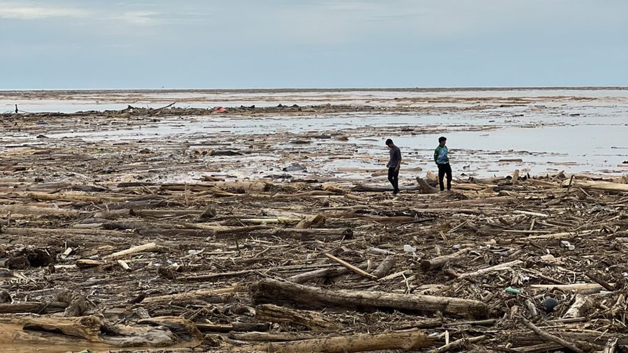 Sejumlah tumpukan kayu yang hanyut akibat banjir yang melanda di kota Padang. (Tangkapan Layar X/@dsuperboy)