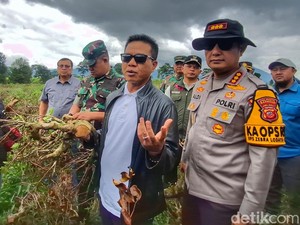 Upaya Bupati Bandung Tangani Perusakan Teh di Pangalengan