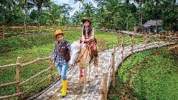 Bakal Ada Wisata Peternakan di BSD City, Dairyland Dibuka Akhir 2028