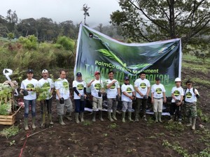 Cegah Degradasi Lingkungan, PTPN IV PalmCo Intensifkan Penanaman Pohon di 12 Provinsi