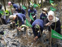 Lewat Inisiatif Ini, Telkomsel Ajak Pelanggan Tanam 12.731 Pohon