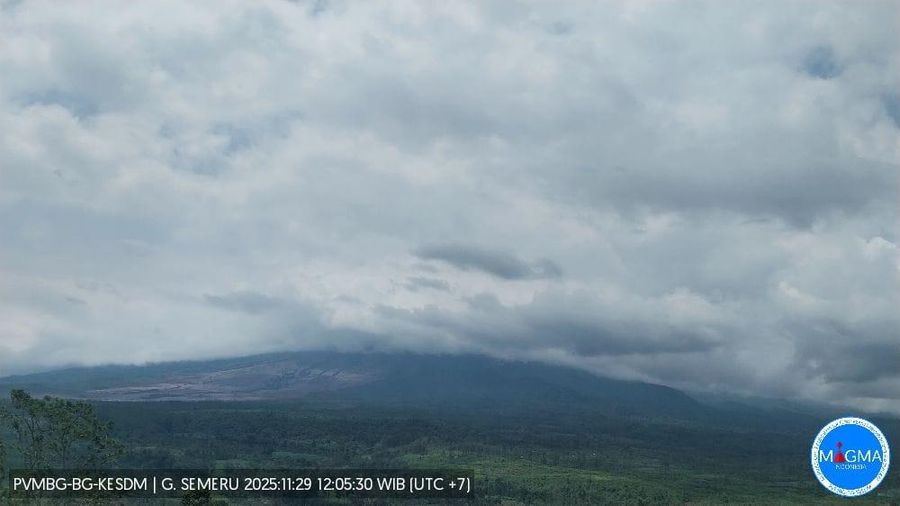 Visual G.Semeru tertutup kabut. (BNPB)
