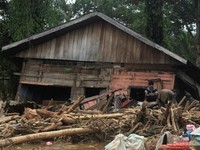 Diduga Picu Banjir Sumut, 4 Perusahaan & 3 Pemegang Hak Tanah Disegel!