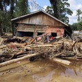 Tambang Emas Jadi Penyebab Banjir & Longsor Sumut? Ini Kata ESDM