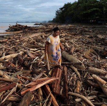 Penampakan Kayu Gelondongan Berserakan di Pantai Usai Banjir di Padang