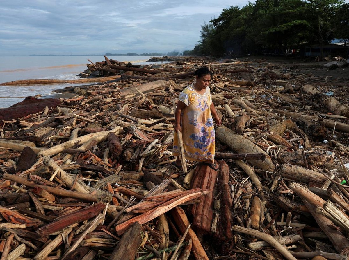 Kerusakan Hutan Hulu Picu Banjir Bandang dan Longsor di Sumatera