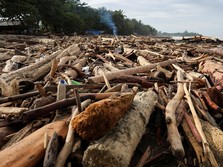 Menguatkan Akar Ekologis, Mengurangi Beban Negara