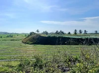 Benteng Alam Tsunami Megathrust di Selatan Jawa Mengecil, Ada Apa?