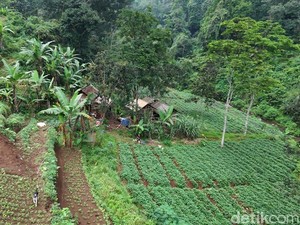 Pekerjaan Pasutri Manusia Jurang di Mojokerto