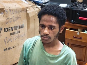 Jejak Kriminal Anggota KKB Iron Heluka yang Dibekuk Saat Bakar Lapak Pedagang