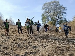 Tradisi Berburu Babi Hutan Jelang Musim Tanam di Mbawa Bima