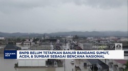 Video: Alasan BNPB Belum Tetapkan Banjir Sumatra Jadi Bencana Nasional