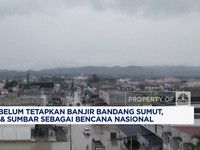 Video: Alasan BNPB Belum Tetapkan Banjir Sumatra Jadi Bencana Nasional