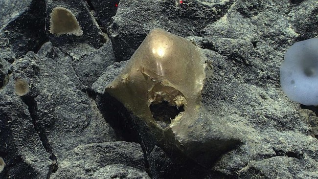 Geger Emas 3 Gram Ditemukan di Sungai, 10.000 Orang Serbu Desa Ini