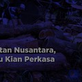 Video: Kekayaan Hutan Nusantara, Pasokan Kayu Melonjak 2x Lipat