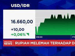 Video: Rupiah Masih Lesu Saat IHSG Bergerak Menguat, Ada Sentimen Apa?