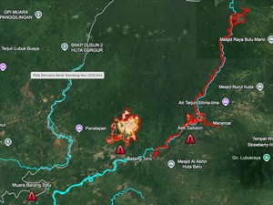 Citra Satelit Ungkap Deforestasi Parah di Sumatera Utara