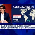 Video: Bos Nikel & Upaya Smelter Jaga Keberlanjutan Lingkungan-Bisnis