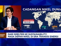 Video: Bos Nikel & Upaya Smelter Jaga Keberlanjutan Lingkungan-Bisnis