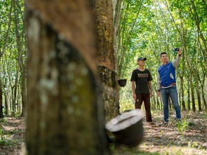 BRI Rilis Indeks UMKM Q3 2025, Ekspansi Berlanjut & Optimisme UMKM Naik