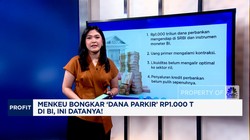 Video: Menkeu Bongkar 'Dana Parkir' Rp1.000 T di BI, Ini Datanya!