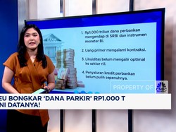 Video: Menkeu Bongkar 'Dana Parkir' Rp1.000 T di BI, Ini Datanya!