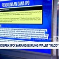 Video: Kupas Valuasi & Prospek IPO Sarang Burung Walet 