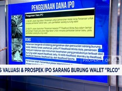 Video: Kupas Valuasi & Prospek IPO Sarang Burung Walet "RLCO"