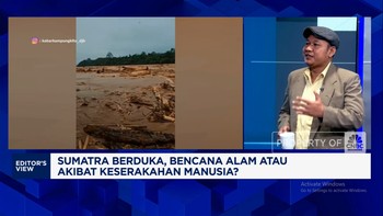 Video: Gelondongan Kayu Banjir Sumatra, Bukti Pembalakan Hutan - PETI?