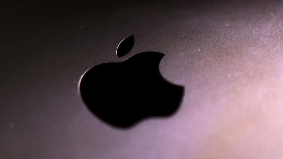 Logo Apple. (REUTERS/Dado Ruvic)