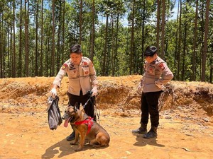 Reno, Anjing K-9 Polda Riau Gugur dalam Tugas Kemanusiaan di Agam