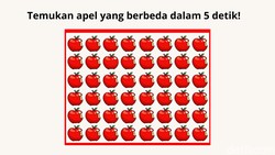 Uji Kejelian mata, Temukan Objek yang Berbeda dalam 8 Permainan Gambar Ini