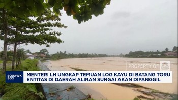 Video: Menteri LH Akan Usut Temuan Kayu Gelondongan di Batang Toru