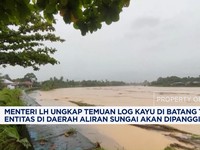 Video: Menteri LH Akan Usut Temuan Kayu Gelondongan di Batang Toru