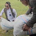 Direksi Bulog 'Turun Gunung' Berikan Bantuan ke Warga Banjir Sumatra