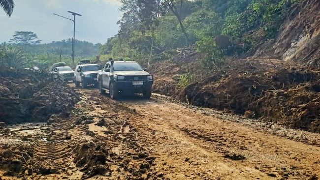 BNPB Beberkan Akses Darat Aceh-Sumut Berangsur Pulih, Ini Rinciannya