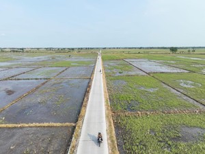 DPUPR Indramayu Benahi Ruas Jalan untuk Permudah Akses Pertanian
