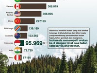 10 Negara Dengan Hutan Terluas di Dunia, Indonesia Keberapa?