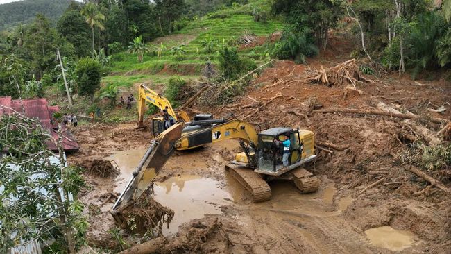 BNPB Beberkan Progres Pembukaan Akses Jalan di Lokasi Banjir Sumatra