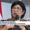 Video: BI Tegaskan Tak Serap Likuiditas Perbankan Lewat Instrumen SRBI