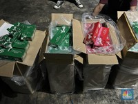Nih! Penampakan Rokok Ilegal Senilai Rp10 M Tangkapan Bea Cukai