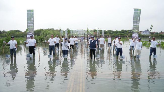 WIKA Group Gelar Penanaman 3.500 Bibit Mangrove di Banten dan Semarang
