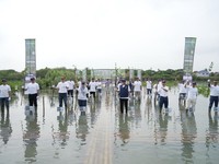 WIKA Group Gelar Penanaman 3.500 Bibit Mangrove di Banten & Semarang