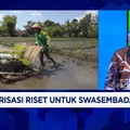 Video: Inovasi & Riset BRINS Bisa Tekan Impor Gandum Cs, Ini Caranya