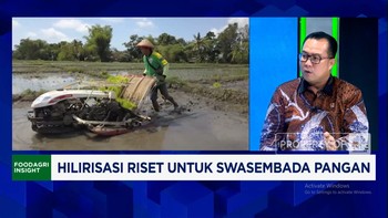 Video: Inovasi & Riset BRINS Bisa Tekan Impor Gandum Cs, Ini Caranya