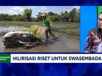 Video: Inovasi & Riset BRINS Bisa Tekan Impor Gandum Cs, Ini Caranya
