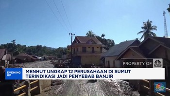 Video: 12 Perusahaan di Sumut Diduga Berkontribusi Terjadinya Bencana