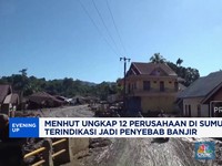 Video: 12 Perusahaan di Sumut Diduga Berkontribusi Terjadinya Bencana